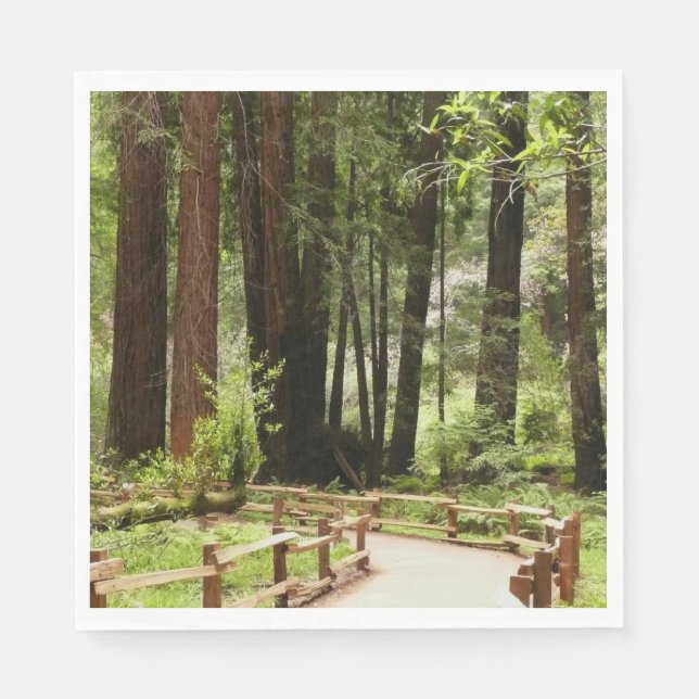 Guardanapo De Papel Muir Woods Path I Nature Photoics (Frente)