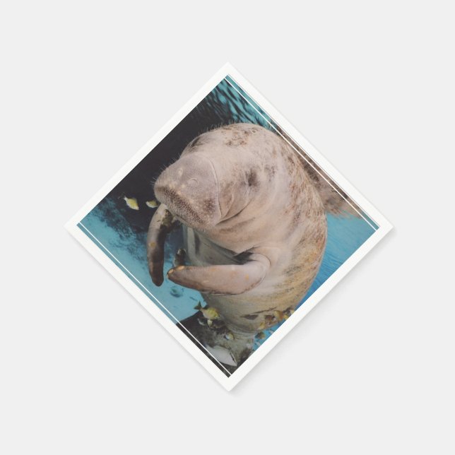 Guardanapo De Papel Nado de Vaca do Mar (Canto)