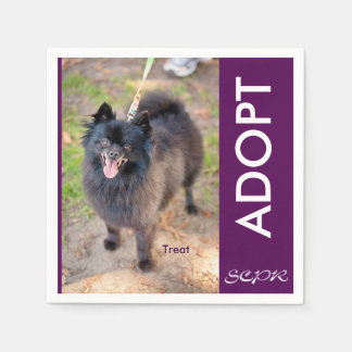 Guardanapo De Papel Napkin - Tratar