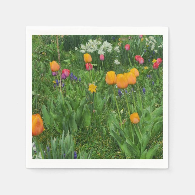 Guardanapo De Papel Napkins (Frente)