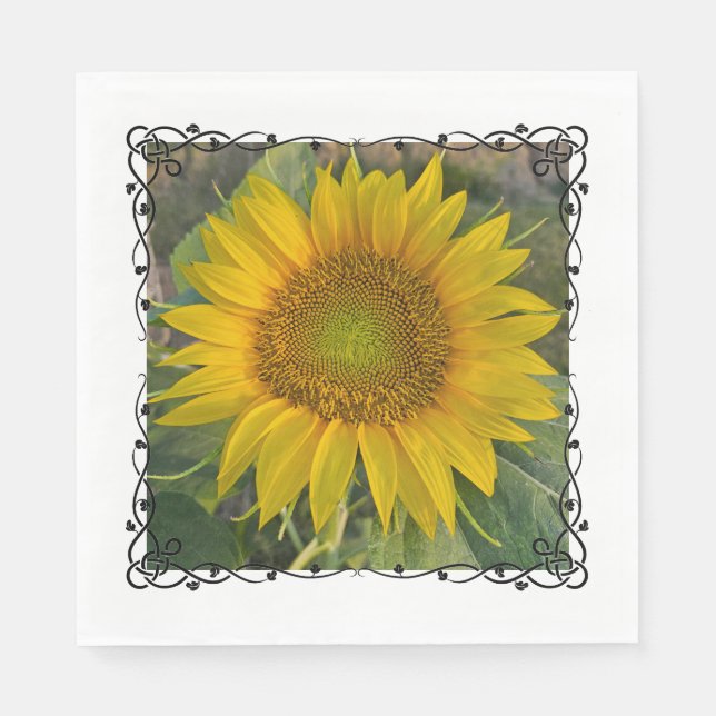 Guardanapo De Papel Napkins (Frente)