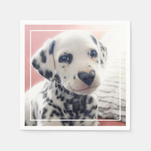 Guardanapo De Papel Nariz de Coração Dalmata