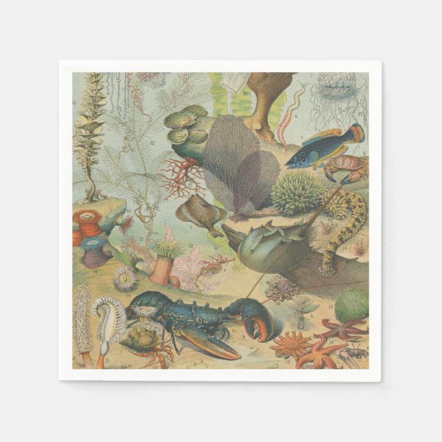 Guardanapo De Papel No mar, o partido "Ocean Marine Animal Party" (Frente)