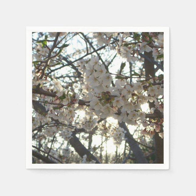 Guardanapo De Papel Noite de Cherry Blossoms II Primavera Sunset (Frente)