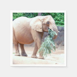 Guardanapo De Papel Núcleos de papel elefante