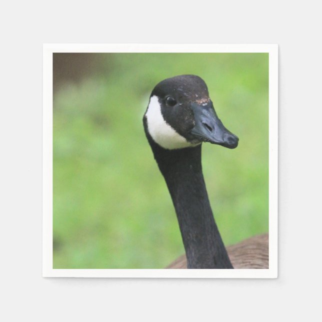 Guardanapo De Papel O quê? (Frente)