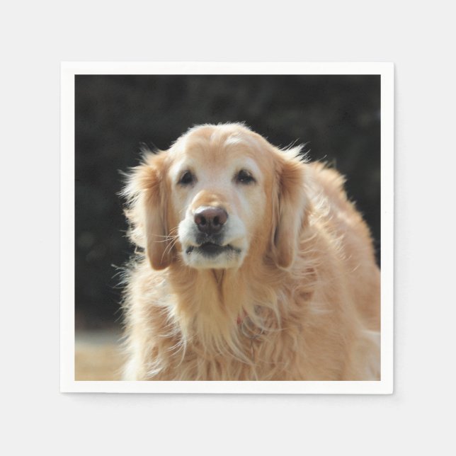 Guardanapo De Papel Oldie Ouro (Frente)