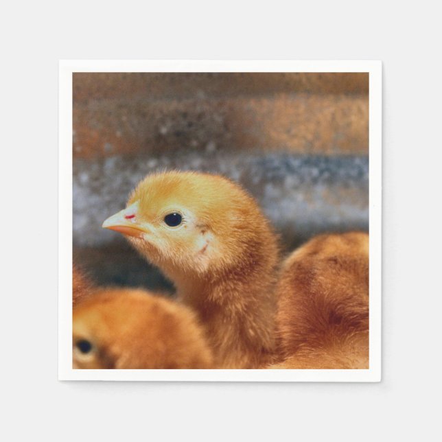 Guardanapo De Papel Olhar (Frente)