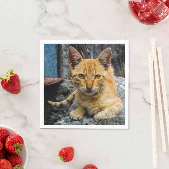 Guardanapo De Papel Olhos de ouro (Insitu)