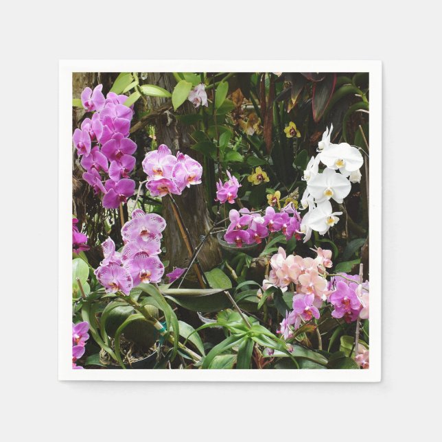 Guardanapo De Papel Orchids Paper Napkins (Frente)