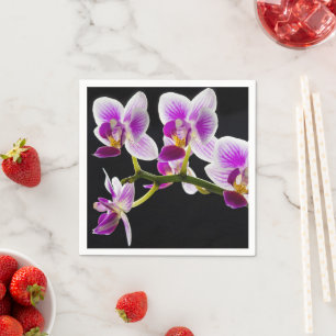 Guardanapo De Papel Orquídea branca e roxa