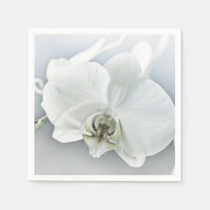 Guardanapo De Papel Orquídea Phalaenopsis Branca