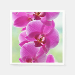 Guardanapo De Papel Orquídeas cor-de-rosa bonitas