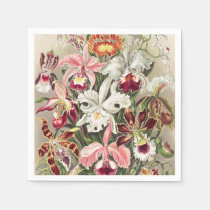 Guardanapo De Papel Orquídeas, Orchideae Denusblumen por Ernst Haeckel