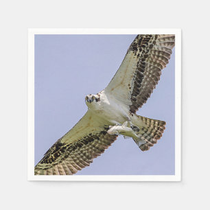 Guardanapo De Papel Osprey com peixe
