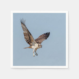 Guardanapo De Papel Osprey juvenil em vôo