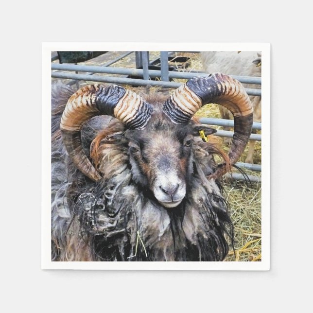 GUARDANAPO DE PAPEL OVINO (Frente)