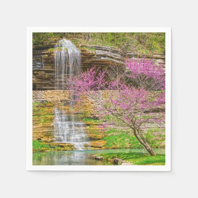 Guardanapo De Papel Ozarks Waterfall Primavera Bluff (Frente)