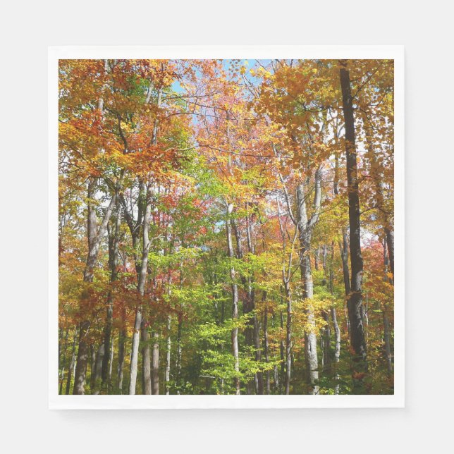 Guardanapo De Papel Paisagem de outono de Floresta II (Frente)