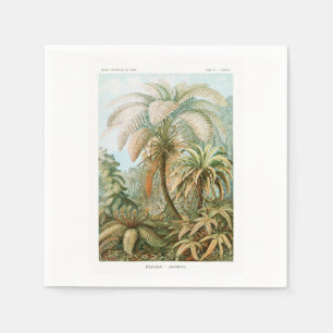 Guardanapo De Papel Palmeira Ernst Haeckel