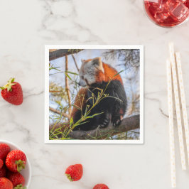 Guardanapo De Papel Panda vermelha