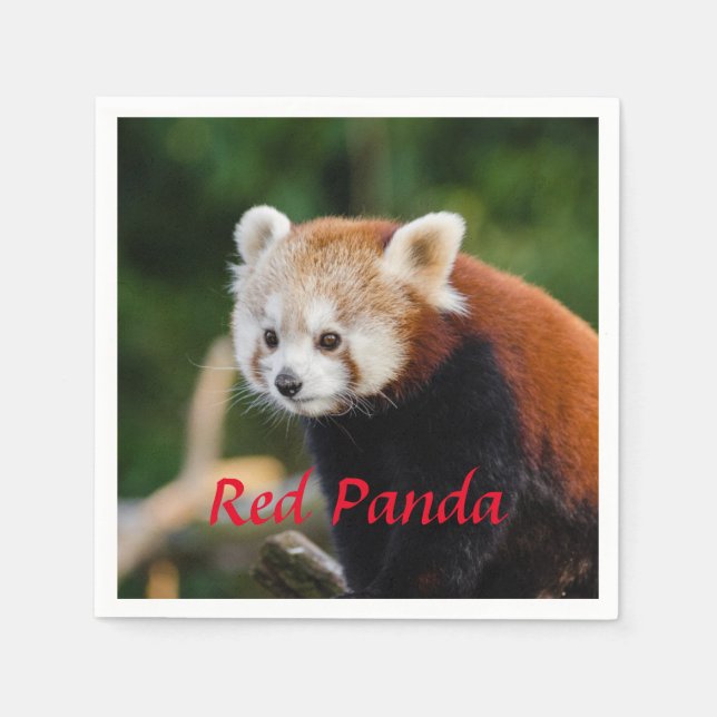 Guardanapo De Papel Panda Vermelho (Frente)
