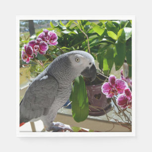 Guardanapo De Papel Papagaio-Cinza africano com orquídeas