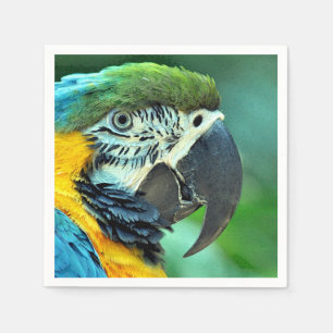 Guardanapo De Papel Papagaio colorido do macaw