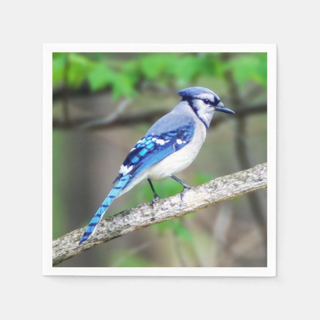 Guardanapo De Papel Papel Azul Jay Napkin (Frente)