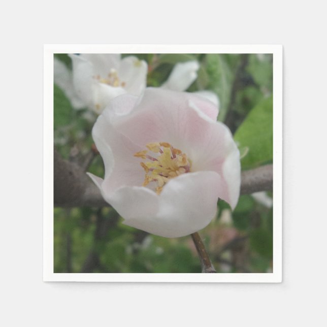 Guardanapo De Papel Papel de coquetel de pureza Napkins (Frente)