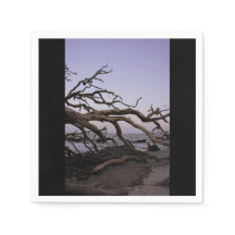 Papel de Praia da Driftwood Napkin