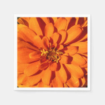 Papel Flor Laranja Zinnia Nápoles