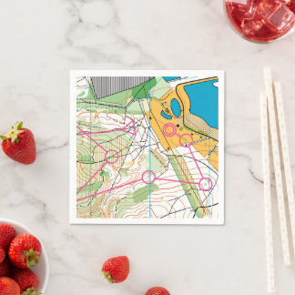 Guardanapo De Papel Papel Napkin - Mapa orientador