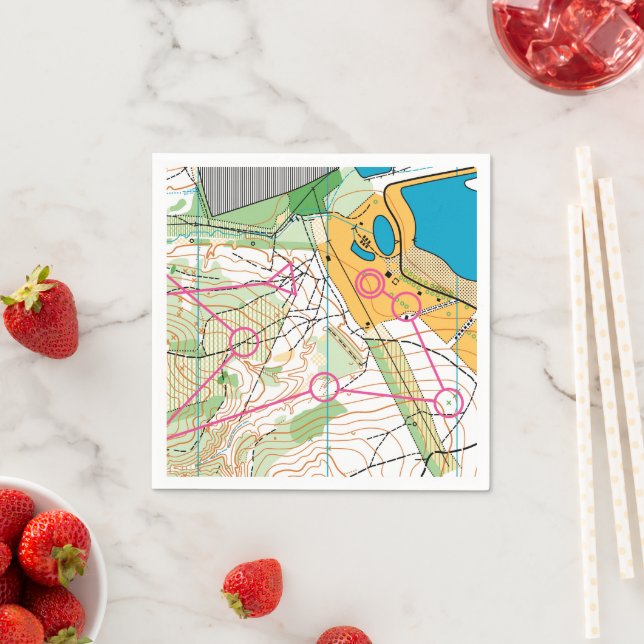 Guardanapo De Papel Papel Napkin - Mapa orientador (Insitu)