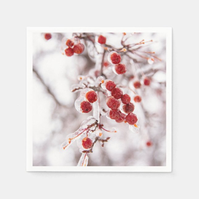 Guardanapo De Papel Papel Napkins (Frente)