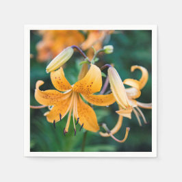 Guardanapo De Papel Papel Napkins