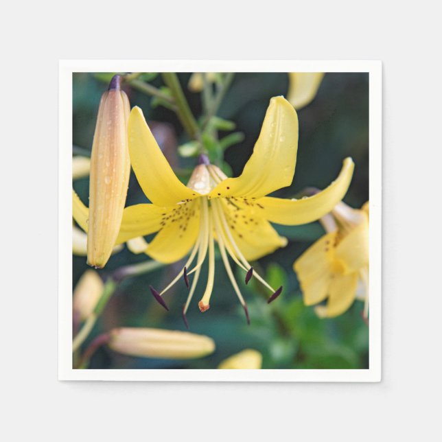 Guardanapo De Papel Papel Napkins (Frente)