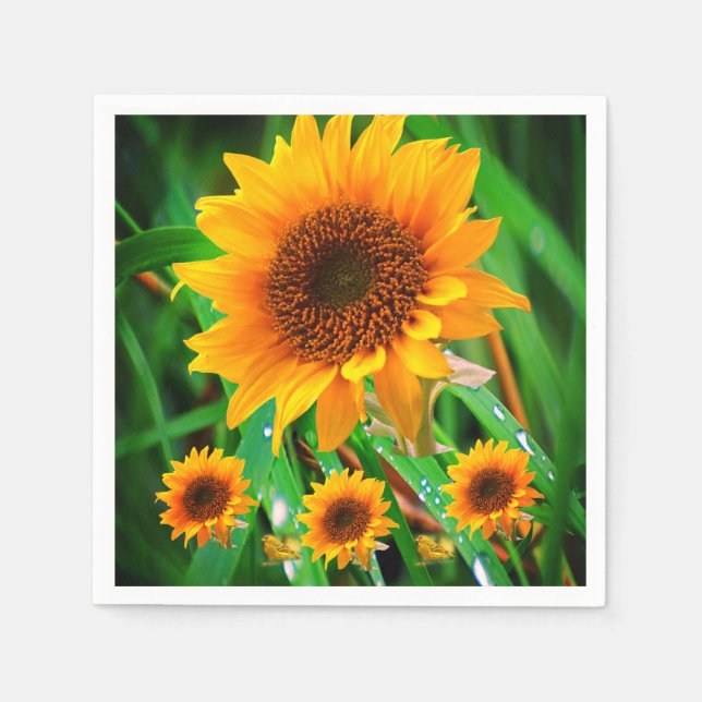 Guardanapo De Papel Papel Napkins (Frente)