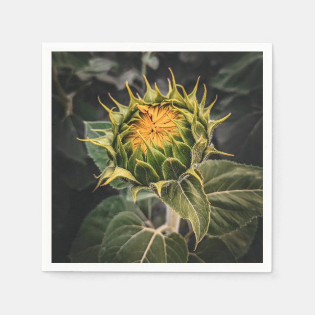 Guardanapo De Papel Papel Napkins (Frente)