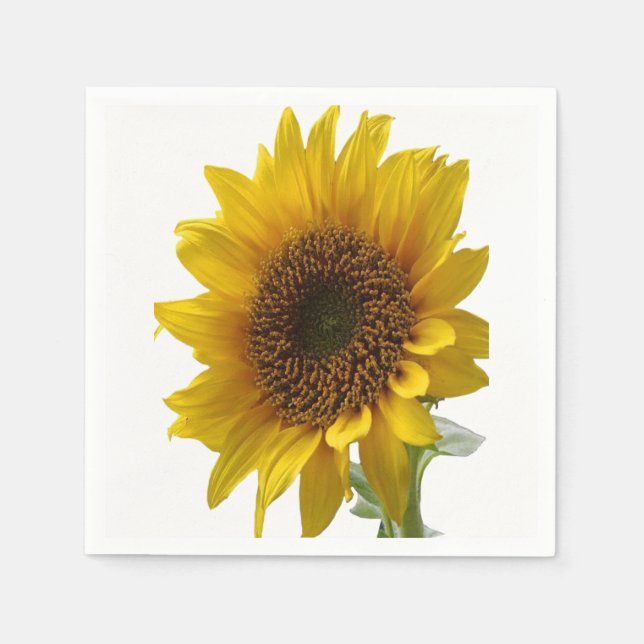 Guardanapo De Papel Papel Napkins (Frente)