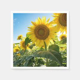 Guardanapo De Papel Papel Napkins