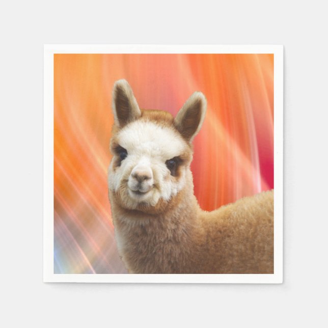 Guardanapo De Papel Partido Alpaca (Frente)