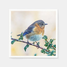 Pássaro Bluebird oriental em papel de limbo cobert