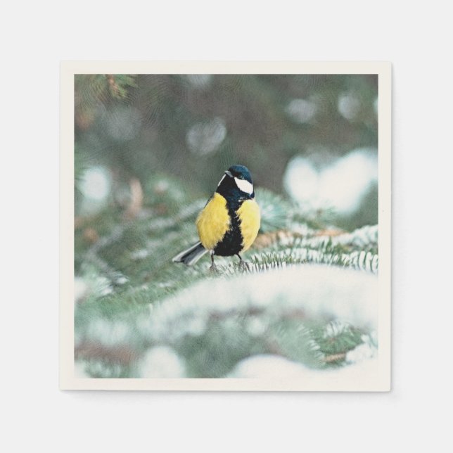 Guardanapo De Papel Pássaro Chickadee Azul no Pinheiro Verde (Frente)