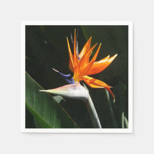 Guardanapo De Papel Pássaro da Flor Tropical Laranja do Paraíso