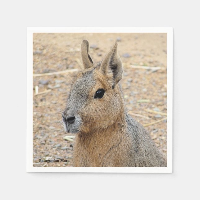 GUARDANAPO DE PAPEL PATAGONIAN MARA (Frente)