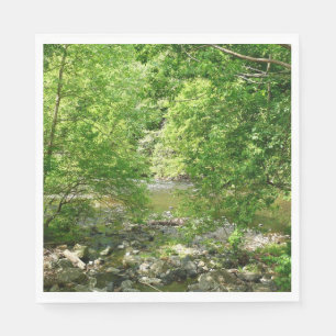 Guardanapo De Papel Patapsco River View Maryland - Fotografia Natural
