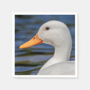 Guardanapo De Papel Pato Branco Mallard