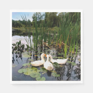 Guardanapo De Papel Patos brancos, almofadas de lírios, lagos, costa