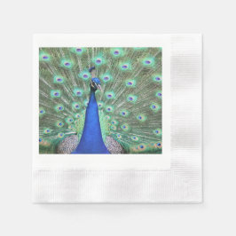 Guardanapo De Papel Peacock, fotografia de alta definição em Napkin